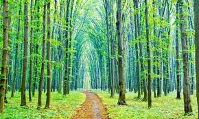 meditación un lugar llamado aquí